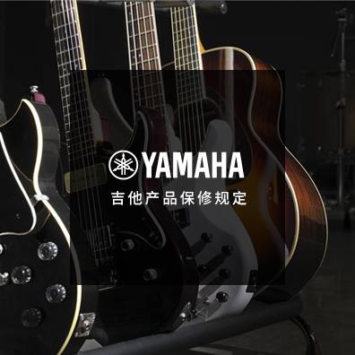 吉他、贝斯和音箱