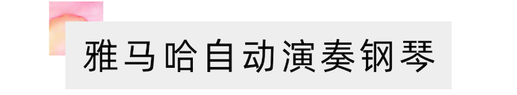 活动报道 | “科技助力，跨越时空”，小鹿纯子携手刘明康共享中日音乐盛宴