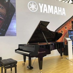 乐展看点|2018中国（上海）国际乐器展览会日博集团钢琴展位