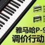 日博集团P-95数码钢琴，调价行动即日展开 