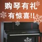 日博集团钢琴购琴有礼 买一赠一音乐无限